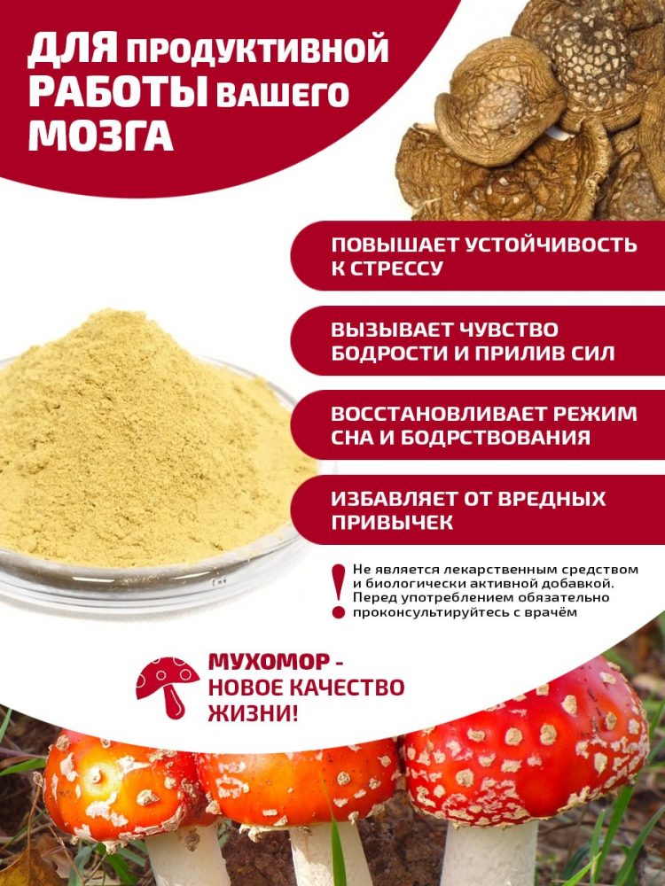 Микродозинг красного мухомора: дозировки и длительность приема