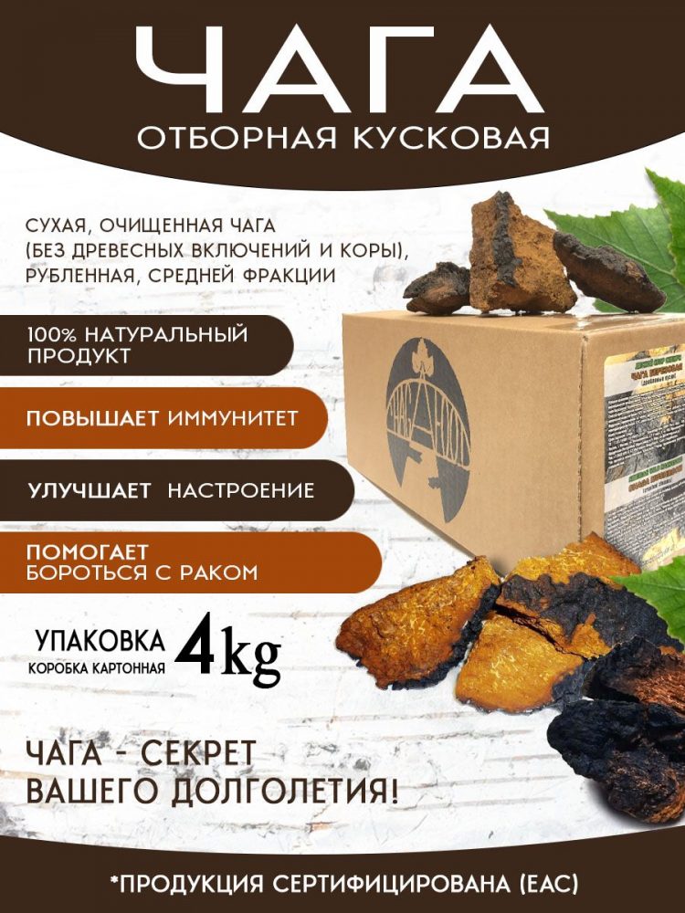 Чага кусковая отборная 4 кг