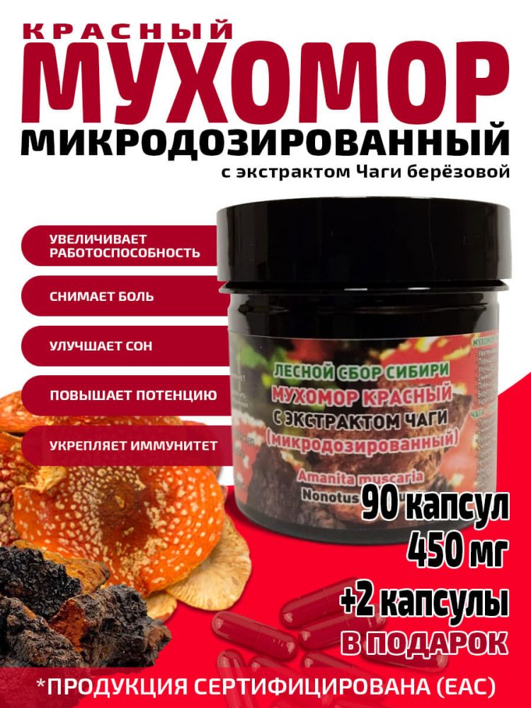 Мухомор красный сушёный микродозинг с экстрактом чаги в капсулах / 90 капсул по 450 мг
