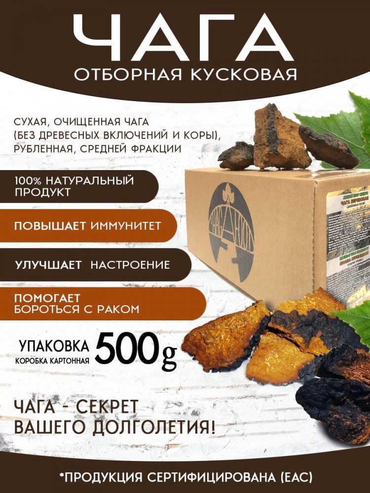 Чага кусковая отборная 250 г 